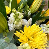 Seasonal Bouquet - DELIVERY TO ALL LAUNCESTON SUBURBS from