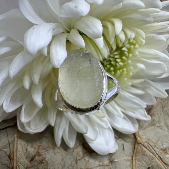Libyan Desert Glass Natural Oval Sterling 925 Silver Ring - Size 8 Quality Gemstone Jewellery