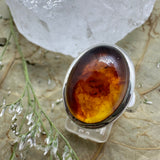 Amber Oval 925 Sterling Silver Ring - Size  8 - Quality Gemstone Jewellery