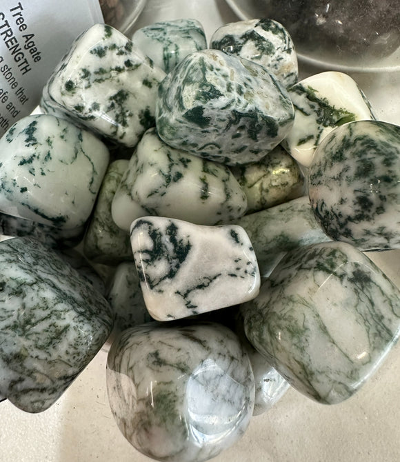 Tree Agate - Strength - Tumbled Stones
