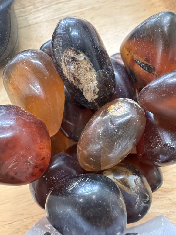 Copal Amber - HEALER & CLEANSER - Tumble Stone
