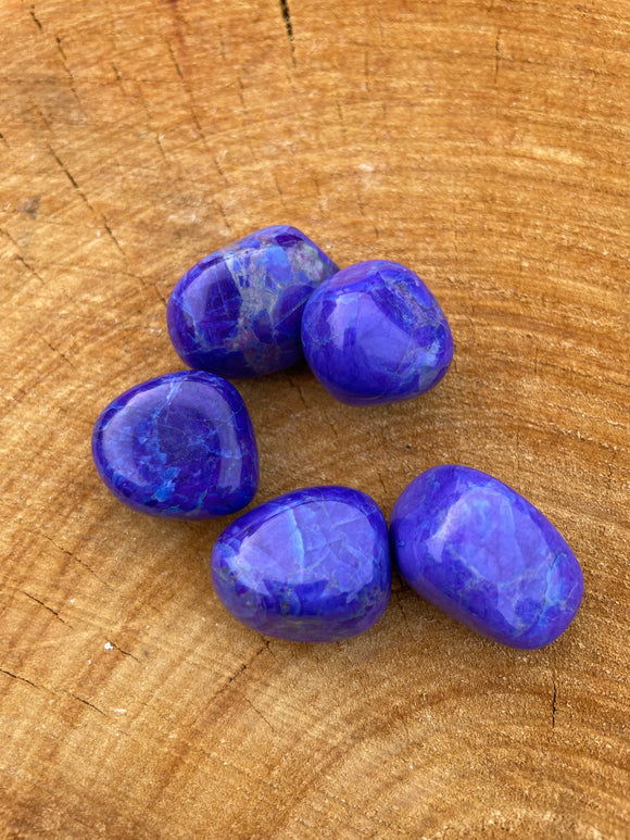 Purple Howlite - INSIGHT - Tumble Stone (Sugilte Purple) Colour Enhanced