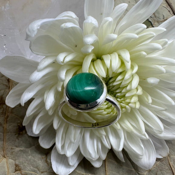 Malachite Round Sterling Silver Ring - Size 8 - Quality Gemstone Jewellery