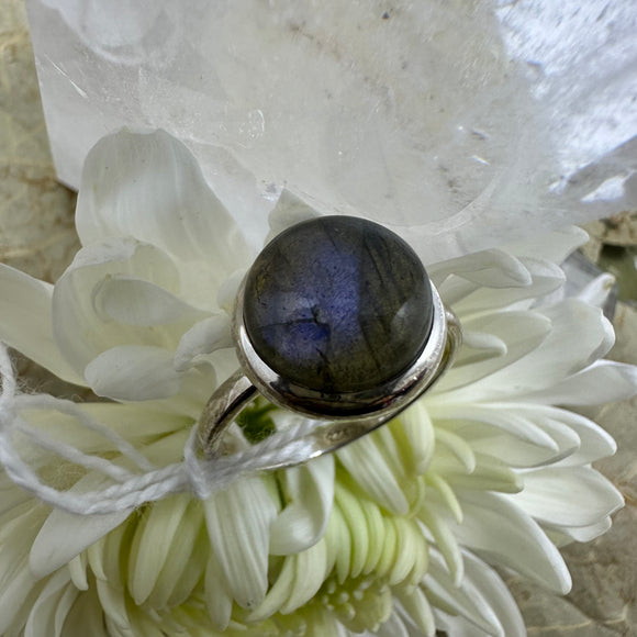 Labradorite Oval Sterling Silver Ring - Size 9 - Quality Gemstone Jewellery