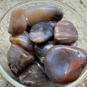 Petrified Wood - UNDERSTANDING  - Tumbled Stones