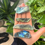 Labradorite Slice with Polished Face - Spirituality